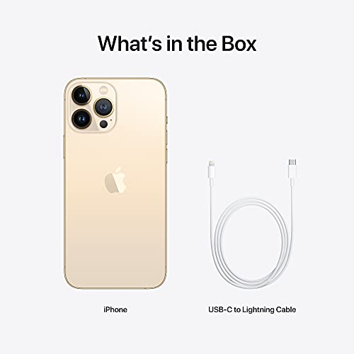 Apple iPhone 13 Pro Max (1TB, Sierra Blue) [Locked] + Carrier Subscription